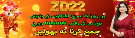 zd22 game